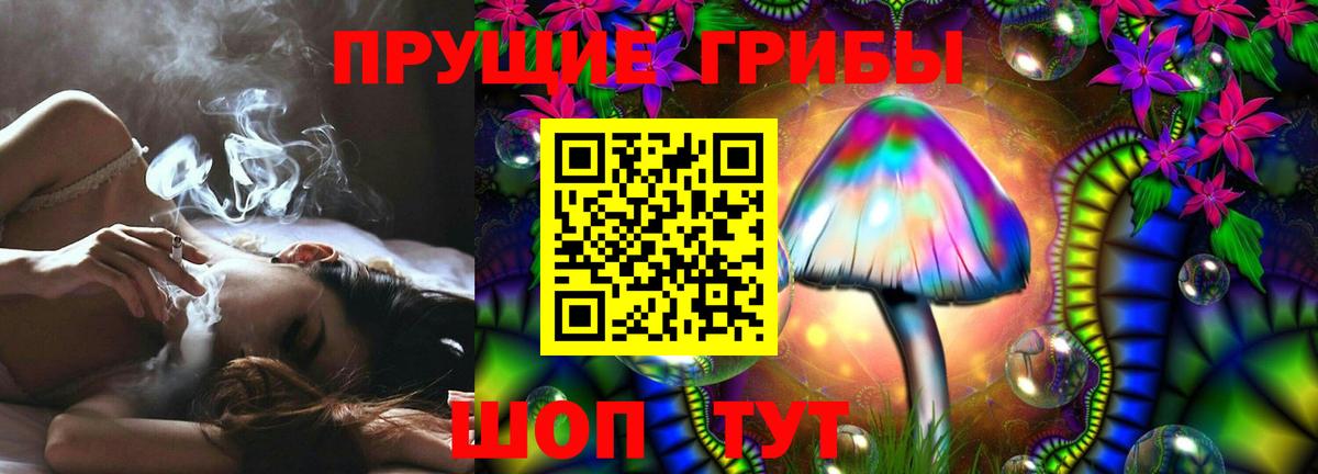 Галлюциногенные грибы MAGIC MUSHROOMS  Вход с VPN  Псилоцибиновые грибы прущие грибы  Асино 